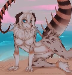 adiago all_fours anthro beach breasts canine dizard female fur furry hybrid looking_at_viewer nude pinup pussy seaside solo