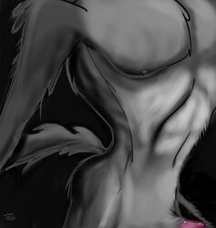 abs anthro arm_tuft barely_visible_genitalia barely_visible_penis biped black_background bulging_butt butt_tuft canid canine canis close-up colored countershade_torso countershading coyote crotch_tuft detailed detailed_fur digital_drawing_(artwork) digital_media_(artwork) digital_painting_(artwork) elbow_tuft erection excited excited_male fur genitals greyscale looking_pleasured looney_tunes male mammal midsection monochrome nipples nude pecs penis pink_penis pinup pose raised_tail ribs shaded shoulder_tuft simple_background solo stevethedragon tail torso_shot tuft vein warner_brothers wide_hips wile_e._coyote