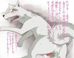 blush canine cum cum_in_ass cum_inside fluffy_tail gay green_eyes kekkaishi madarao male spirit teeth white_fur