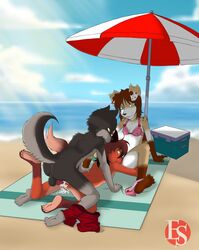 anthro beach canine cum cum_inside ethersaga female fox fur furry licking male miaska penetration robyn_(ethersaga) seaside teenager tongue vaginal_penetration wolf young