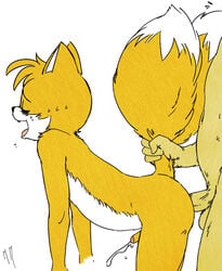 anal anthro battle_angel canine fox fur furry furry_tail male male_only multiple_males multiple_tails nude penis sega sonic_(series) sonic_team sonic_the_hedgehog_(series) sonic_the_hedgehog_2 tail tails yaoi