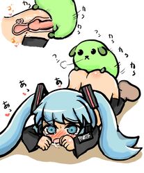 :< blue_eyes blue_hair blush canid canine crying crying_with_eyes_open dog dog_ears doggy_style doggystyle feral hatsune_miku humanoid_penis interspecies japanese_text mameshiba text translation_request vocaloid zoophilia