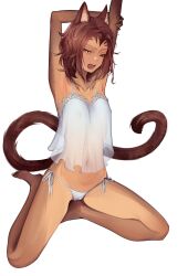 animal_ears barely_clothed brown_hair cat_ears cat_girl cat_tail catgirl dress erroten kneeling m'rissi messy_hair mrissi navel one_eye_closed panties short_hair skyrim stretching the_elder_scrolls thighs waking_up yawn yellow_eyes