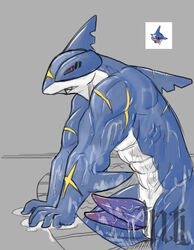 2012 diphallia diphallism erection fish hemipenes illuminatii male male_only marine multi_penis muscles nude penis pokemon pokemorph pool shark sharpedo solo uncensored water wet