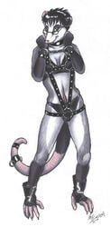 anthro bondage cuffs femsub handcuffs marsupial opossum sinclaire tail_cuff