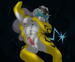 buffurun male male_only pokemon raikou solo