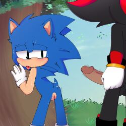 cuntboy hetero intersex sega shadow_the_hedgehog sonic_(series) sonic_the_hedgehog sonic_the_hedgehog_(series) thecoffedumbs vagina