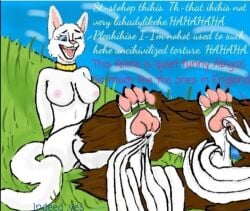 anthro bondage bondage bound breasts disney domestic_cat duchess_(aristocats) feet felid feline felis female fur kfl-2000 mammal pawpads tail the_aristocats tickling tickling_feet white_body white_fur white_tail