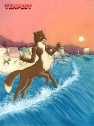 1girls background beach birds blue_eyes boats brown_fur detailed_background female female_only feral fishing fox_taur furry lighthouse mountain open_mouth penis pink_sky rocks running seaside smile sunset taur tempest tent water waves yellow_fur