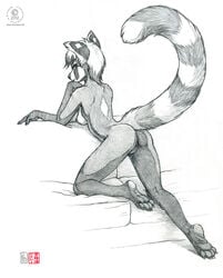 2012 breasts female furry kacey monochrome nude pinup pussy red_panda sketch solo