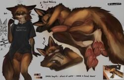 2024 5_fingers absurd_res anthro anus ass balls canid canine claws closed_eyes clothing digital_media_(artwork) english_text eyebrows feet feral fingers fur genitals hi_res holding_object lying male mammal penis simple_background spaal text text_on_clothing toe_claws toes