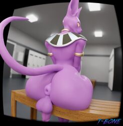 anthro anus beerus dragon_ball dragon_ball_super hi_res looking_at_viewer male male_only puffy_anus sitting solo solo_male t-bone589