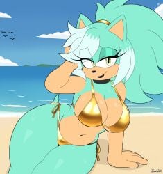 fan character from sonic the hedgehog (series) by jeanart