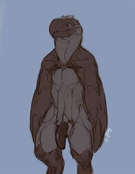 2013 amit anthro avian beak bird black_eyes blue_background cyborg feathers flaccid machine male_only mechanical muscles penis plain_background prosthetics simple_background sketch