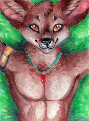 1boy 2012 anthro brown_fur canine color day fennec fox fur furry gravewalker male male_only necklace nude on_back outdoors solo