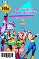 1980s_(style) 4girls aerobics aged_up ai_generated amy_rose barcode big_breasts blaze_the_cat bright_colors cameltoe clothed cream_the_rabbit flat_chest fur furry furry_only gym_clothes large_breasts leotard medium_breasts multiple_females multiple_girls muscular muscular_anthro muscular_female novelai rouge_the_bat sega small_breasts smile sonic_(series) sonic_the_hedgehog_(series) spandex sports_bra sportswear standing_split stretching sweat sweating thick_thighs toned_female toned_legs unitard vhs_case vhs_tape workout_clothes