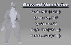 4_toes 5_fingers anthro balls big_penis black_nose canid canine canis colored digital_drawing_(artwork) digital_media_(artwork) edward_(arielglr) english_text erection eyebrow_piercing eyebrows eyewear facial_piercing feet fingers foreskin fur fur_markings genitals glasses grey_background grey_body grey_fur hi_res humanoid_genitalia humanoid_penis male male_anthro mammal markings model_sheet muscular muscular_anthro muscular_male navel nude nude_anthro nude_male penis photolol.03 piercing portrait simple_background solo stated_adult tail text thick_thighs toes wide_hips wolf