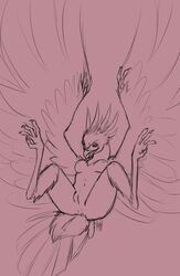 anthro anus avian breasts female harpy monochrome nubs nude pussy sketch solo talons wings