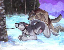 anthro blue_eyes bondage bound canine collar forest from_behind furry furry_only male mountain painting penetration penis sex snow soraslipheed traditional_media tree wolf wood yaoi yellow_eyes