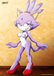 blaze the cat from sega by bbmbbf