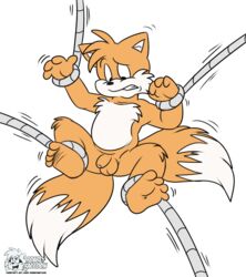 anthro balls canine fox fur furry male male_only penis roarey_raccoon sega solo sonic_(series) tails tentacle