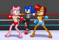 1boy 2girls amy_rose anthro barefoot blue_boxing_gloves blue_eyes blue_fur blue_gloves blue_shorts boxing boxing_gloves boxing_match boxing_ring breasts brown_fur clothed_male clothing dark_background duo_female female gloves green_eyes hairband half-closed_eyes hedgehog light_blue_boxing_gloves light_blue_gloves light_skin male mostly_nude navel nipples no_visible_genitalia pants pink_fur pink_hair pink_nipples red_boxing_gloves red_gloves red_hair red_hairband red_shorts referee sally_acorn sega shoes short_tail shorts sonic808 sonic_(series) sonic_the_hedgehog sonic_the_hedgehog_(series) tail teeth topless topless_boxing topless_female trio