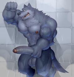 abs anthro balls bathing biceps boner canid canine canis erection fleshformomo fur genitals hi_res jayden_(fleshformomo) male male_only mammal masturbation muscular muscular_anthro muscular_male nipples nude pecs penis showering solo tail vein veiny_penis wolf