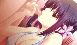 animated atelier_kaguya atelier_kaguya_honky-tonk_pumpkin bikini_top censored erotica_yuuwaku_kenshuu_hajimaruyo fellatio game_cg hair_ornament hybrid_animation oral sakagami_umi torino_sugumi