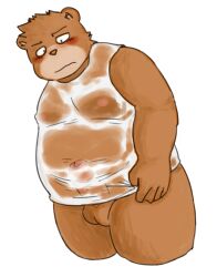 anthro balls bear belly blush blush_lines brown_body clothing erection erection_under_clothing foreskin genitals hi_res male male_focus male_only mammal moobs nipples overweight penis rampie shirt slightly_chubby solo solo_male topwear ursidae ursine wet wet_clothing wet_shirt wet_topwear