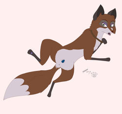 2012 anus balto_(film) cunning_trickster_(balto) female female_focus female_only feral foxyxxx pussy