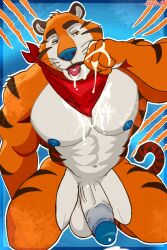 2:3 afterglow anthro balls biped blue_nipples blue_nose bodily_fluids cum cum_drool cum_on_chest cum_on_hand cum_on_tongue felid frosted_flakes fur genital_fluids genitals hi_res kellogg's kerchief kneeling male mammal mascot muscular muscular_anthro muscular_male nipples orange_body orange_fur pantherine penis rafaxsg simple_background solo stripes tiger tongue tony_the_tiger vein veiny_penis