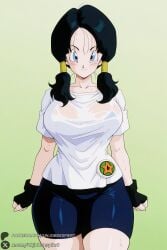 videl videl_(long_hair) dragon_ball dragon_ball_z unjobdespiert ai_generated 1female looking_at_viewer curvy huge_breasts huge_ass big_breasts big_ass 1girls breasts 2026 artist_name watermark hi_res highres high_quality high_resolution patreon_username patreon 1girl gloves solo twintails fingerless_gloves black_hair shirt smile blue_eyes white_shirt wet_clothes bike_shorts large_breasts black_gloves wet shorts wet_shirt green_background closed_mouth simple_background thighs blush short_sleeves sweat see-through cowboy_shot