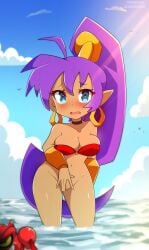 2021 absurd_res arthropod assisted_exposure bandeau beach big_breasts blue_eyes blush bottomless bracelet breasts choker cleavage cleavage_overflow clothed clothing cloud covering covering_crotch crab crustacean day decapod embarrassed eyelashes female frown genie gold_(metal) gold_bracelet gold_ear_ring gold_jewelry hair hi_res humanoid humanoid_pointy_ears jewelry light light_beam long_hair looking_at_viewer malacostracan narrowed_eyes navel necklace nipple_outline not_furry open_frown open_mouth partially_submerged pointy_ears ponytail portrait public public_exposure purple_hair sea shantae shantae_(character) shy signature sky solo standing sunbeam sunlight tan_body tan_skin tenshigarden three-quarter_portrait topwear water wayforward wide_hips