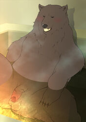 furry grizzly male_only shirokuma_cafe tagme