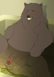 furry grizzly male_only shirokuma_cafe tagme