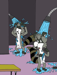 anthro bentley_raccoon bert_raccoon kooshmeister male male_only shower tagme the_raccoons