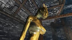 3d argonian mod shahvee skyrim the_elder_scrolls