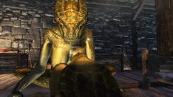 3d argonian mod shahvee skyrim the_elder_scrolls