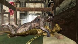 3d argonian jaree-ra mod skyrim the_elder_scrolls