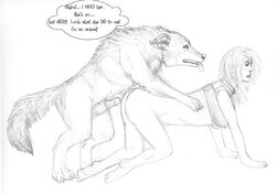 arania canine female greyscale human male monochrome pencils straight transformation wolf