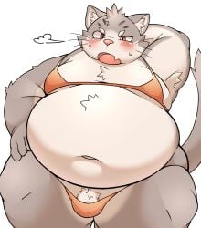 0907_kapi 2025 anthro armpit_hair belly big_belly blush body_hair clothing domestic_cat felid feline felis genitals hi_res kemono lifewonders male mammal navel open_mouth overweight overweight_male penis simple_background sitri_(tas) solo tokyo_afterschool_summoners underwear white_background