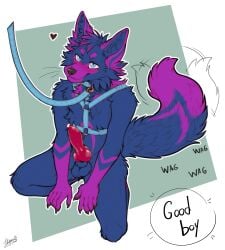 absurd_res animal_genitalia anthro blue_body blue_fur canid canine collar fox fur genitals harness hi_res knot leash male mammal penis reden solo tatujapa