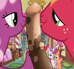 animated apple_bloom_(mlp) big_macintosh_(mlp) cheerilee_(mlp) cutie_mark_crusaders earth_pony equine female friendship_is_magic fur hair_on_head male my_little_pony pony scootaloo_(mlp) sweetie_belle_(mlp) yaoi