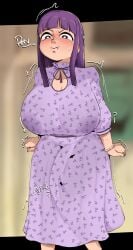 Fern (Sousou No Frieren) Rule 34 Image