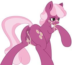 anus ass cheerilee_(mlp) color cum cum_in_ass cum_in_pussy cum_inside cum_on_face cutie_mark dovne earth_pony equine female female_only friendship_is_magic fur green_eyes horse inflation my_little_pony plain_background pony presenting presenting_hindquarters pussy solo tongue two_tone_hair white_background