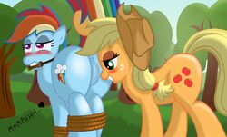 applejack_(mlp) earth_pony equine female female_only friendship_is_magic fur multiple_females my_little_pony pony rainbow_dash_(mlp) smooth_skin yuri ziemniax