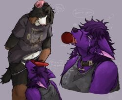amethyst_(cryptorch1dism) anthro bernese_mountain_dog bodily_fluids brown_eyes canid canine canis charlie_(cryptorch1dism) clothing collar crying cryptorch1dism domestic_dog dripping duo female female/female fur gagging genitals hi_res knot looking_at_another looking_at_partner looking_up mammal molosser mountain_dog neck_bulge oral oral_penetration penetration penis penis_on_face praise purple_body purple_fur saliva saliva_drip sex_toy sex_toy_fellatio shirt sound_effects strapon strapon_fellatio swiss_mountain_dog tank_top tears topwear wolf