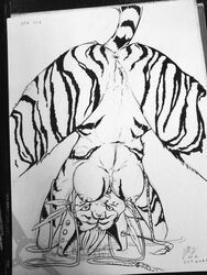 anthro anus black_and_white breasts catwarrior ear_piercing feline female fur furry gauged_ear looking_at_viewer monochrome nipple_piercing nipples nude piercing pussy sketch solo tiger upside-down