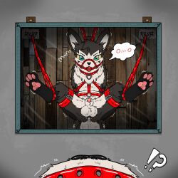 1:1 ball_gag balls bdsm blush bodily_fluids bondage bound character_wax collar cum cum_inside english_text fan_character feral gag gagged generation_3_pokemon genital_fluids genitals hi_res keiikaii leash male male/male mirror muzzle_(object) muzzled nintendo paws pokemon pokemon_(species) poochyena solo submissive submissive_male text