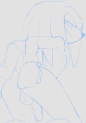 anthro balls echidna jammiez knuckles_the_echidna looking_at_viewer male male_only mammal mobian_(species) monotreme nude penis solo sonic_(series)